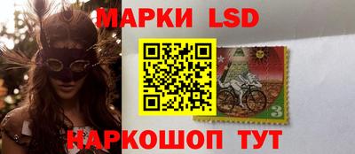 крисы Кулебаки
