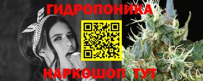 крисы Кулебаки