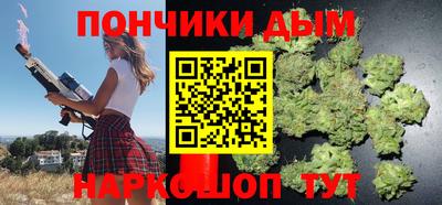 крисы Кулебаки
