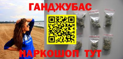 крисы Кулебаки