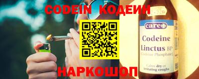 крисы Кулебаки