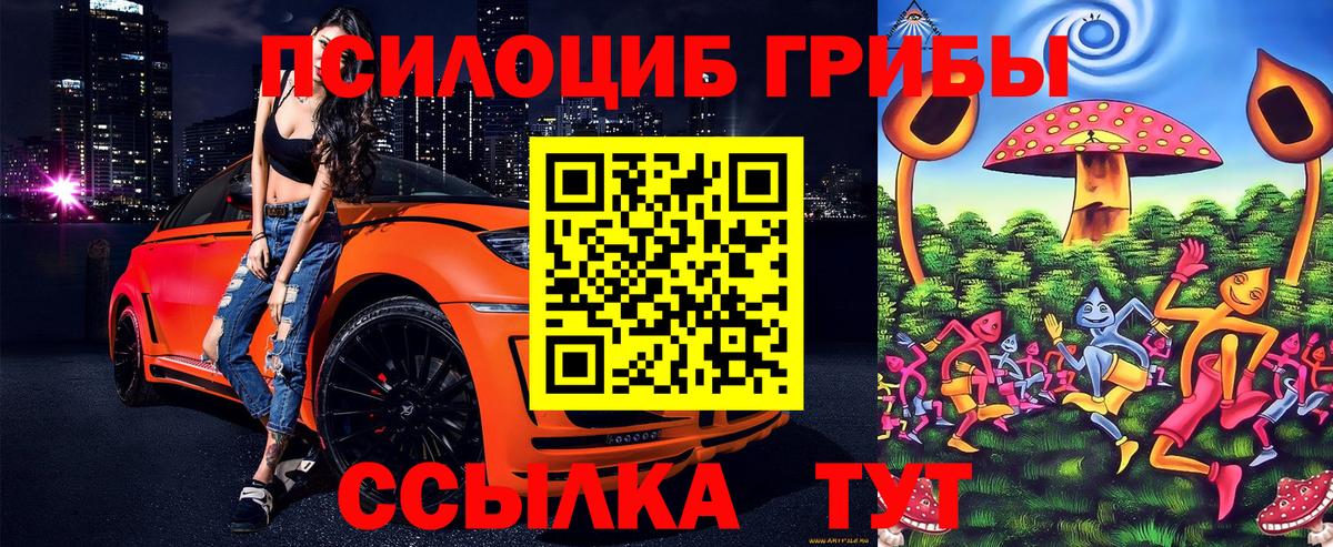 Псилоцибиновые грибы прущие грибы  Вход с VPN  Ялта 